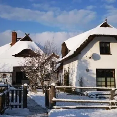 Ferienhaus Schönes In Althagen Mit Terrasse Und Grill Ahrenshoop